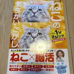 ねこのまちがいさがし3