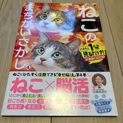 ねこのまちがいさがし4