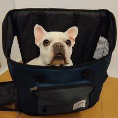 ペットキャリーバッグの画像