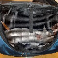 ペットキャリーバッグの画像