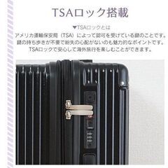 【新品】キャリーケース スーツケース Lサイズ キャスター付き トランクケース tsa キャリー 軽量 大容量 360度回転 sg223-Lの画像