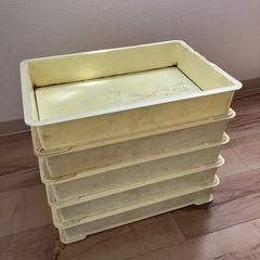 ばんじゅう　5個