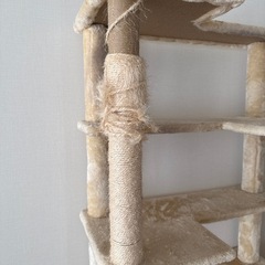 キャットタワーの画像