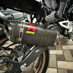 CB250R 令和4年式　走行距離6200キロ　カスタム多数の画像