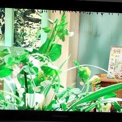 液晶テレビ37型　PANASONIC　TH-37LZ80　訳あり