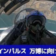 ブルーインパルスを船を貸し切って船からみよう♪メンバー募集 - その他