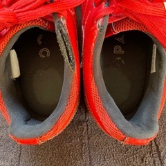 サッカートレーニングシューズ  Adidas  24.5cmの画像