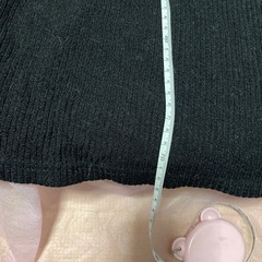 ANAP今月末削除の画像