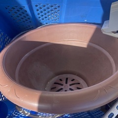 断捨離のため今月までの画像
