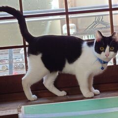 ちょっぴり臆病だけど食いしん坊ラヴくん6ヶ月 − 長野県