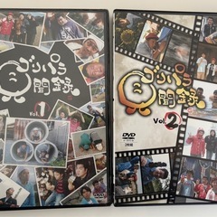 コリパラ見聞録DVD