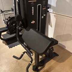 美品❗️エヴォルギア キャンバーカールの画像