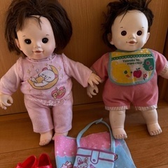 [み様引き渡し者決定]訳ありぽぽちゃん