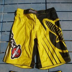 ハヤブサ/ファイトショーツ/サイズ34/数回使用・中古品・現状渡し/格闘技・レスリングの画像