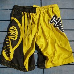 ハヤブサ/ファイトショーツ/サイズ34/数回使用・中古品・現状渡し/格闘技・レスリングの画像