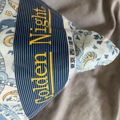 西川羽毛掛け布団　シングル2枚セットの画像