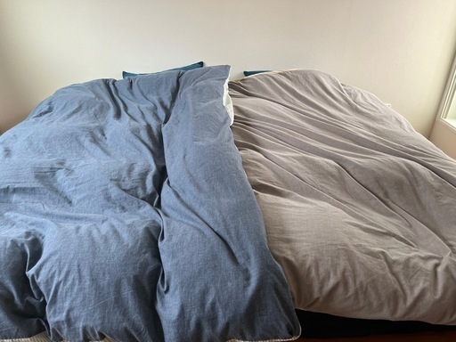 西川羽毛掛け布団　シングル2枚セット