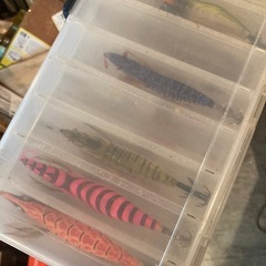 エギ12個セットの画像
