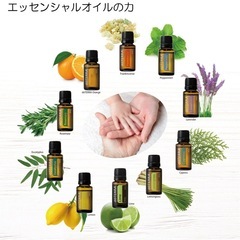 エッセンシャルオイルの神秘の力