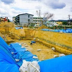 【レア求人】埋蔵文化財発掘作業補助スタッフの画像