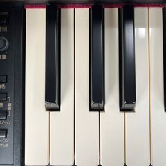 Roland  RP-101　電子ピアノの画像