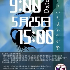 目高イベント