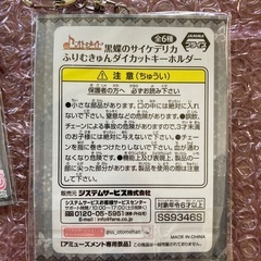 黒蝶のサナトリウム アクリルキーホルダー2個セットの画像