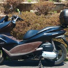 PCX125　海外仕様　走行27500km　(No.2368)の画像