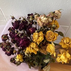 Ohana𓂃🥀𓈒𓏸の画像