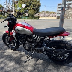 ドゥカティ スクランブラー800現行 2023年式の画像