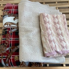 タオルケットのみ