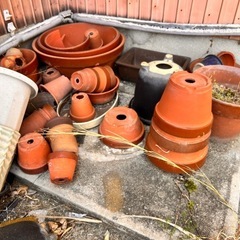 鉢　大量