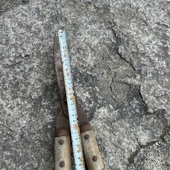 レトロジャンクガーデン　鋏　雑貨　古道具の画像