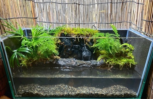 滝テラリウム水槽