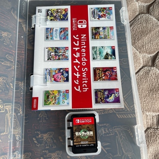ゼルダの伝説 ティアーズ オブ ザ キングダム (KOKOROちゃん