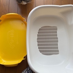 自動水飲み飲み器(新品) 子猫用トイレ(猫耳)猫用食器 の画像