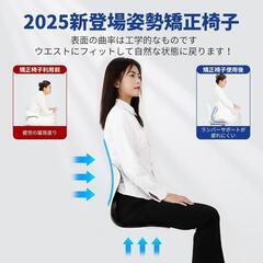 骨盤サポートチェア 腰サポート 姿勢サポート 骨盤矯正 姿勢補正 軽量の画像