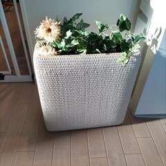 観葉植物入れ
