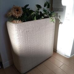 観葉植物入れの画像