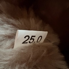 近々処分します🤚ブーツ 25cmの画像