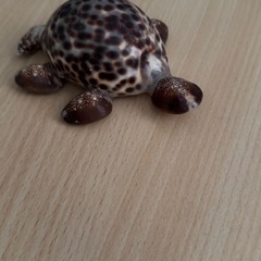 手作りの貝殻で作った亀の画像