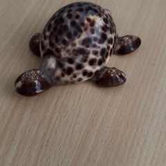 手作りの貝殻で作った亀
