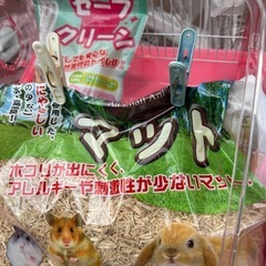 ハムスターのお家などなどセットの画像