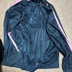 ジャージ 上下 Mサイズ レディース