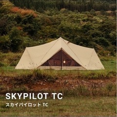 スカイパイロットTC インナーセット　仕様変更前モデル　サバティカルの画像