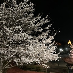 4月13日日曜日に、ツーリング行きませんか？