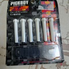 アコギ　ブリッジピン