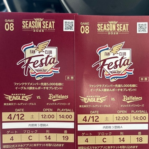 野球観戦チケット