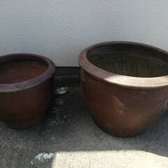 睡蓮鉢・メダカ鉢　委託残1鉢