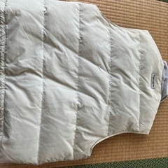 ピアスポーツのベスト🦺の画像